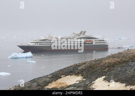 Colonie de pingouins de Gentoo sur l'île de Cuverville, en Antarctique, avec bateau de croisière le Boreal en arrière-plan. Banque D'Images