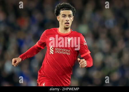 Liverpool, Royaume-Uni. 23rd févr. 2022. Curtis Jones #17 de Liverpool à Liverpool, Royaume-Uni, le 2/23/2022. (Photo de Conor Molloy/News Images/Sipa USA) crédit: SIPA USA/Alay Live News Banque D'Images