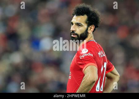 Liverpool, Royaume-Uni. 23rd févr. 2022. Mohamed Salah #11 de Liverpool à Liverpool, Royaume-Uni, le 2/23/2022. (Photo de Conor Molloy/News Images/Sipa USA) crédit: SIPA USA/Alay Live News Banque D'Images