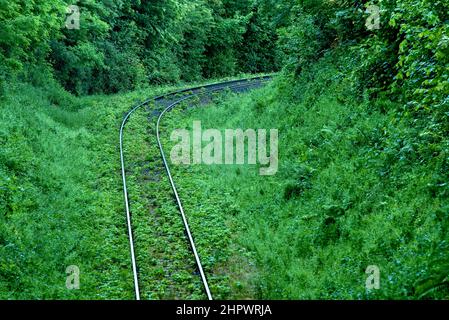 Ligne de chemin de fer à voie unique surcultivée, voie de chemin de fer à voie unique, courbe à travers la forêt, Nidda, Wetteraukreis, Hesse, Allemagne Banque D'Images