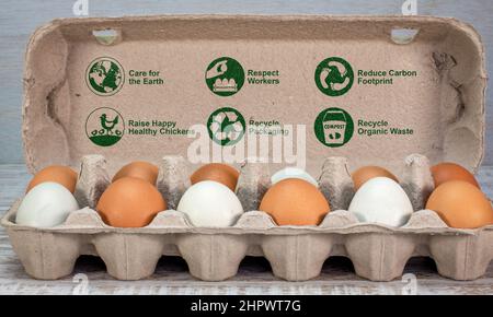 Étiquettes et icônes alimentaires durables sur la boîte à œufs, informations sur l'environnement et l'éthique des consommateurs, soin de la terre, respect des travailleurs, recyclage, Banque D'Images