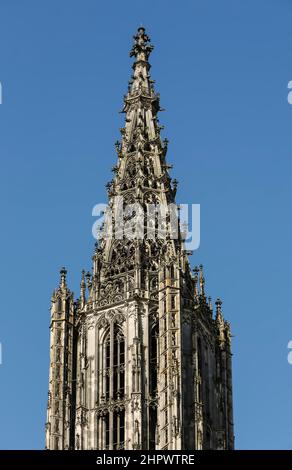 Cathédrale d'Ulm, tour ouest, tour principale, Ulm, Bade-Wurtemberg, Allemagne Banque D'Images