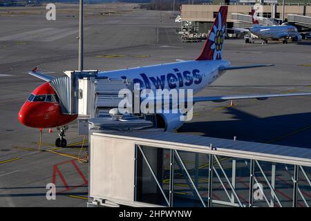 Avion Edelweiss Air avec jetée sur quai, Airbus A320-200, HB-IJW, Zurich Kloten, Suisse Banque D'Images