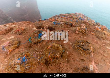 Sites de nidification de la gantet vides sur les falaises de grès rouge, les déchets de plastique, la pollution de l'environnement, île Helgoland High Seas, district de Pinneberg Banque D'Images