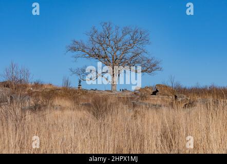 Découvrez Tree lors d'une journée sans nuages, Devils Den, parc militaire national de Gettysburg, Pennsylvanie, États-Unis Banque D'Images