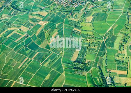 Vue panoramique de champs dans la région rurale de rheinland-pfalz près de Mayence Banque D'Images