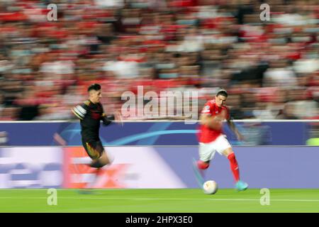 Lisbonne, Portugal. 23rd févr. 2022. Darwin Nunez de Benfica (R) vit avec Edson Alvarez d'Ajax lors du tour de la Ligue des champions de l'UEFA de 16 1st jambe de match entre SL Benfica et AFC Ajax à Lisbonne, Portugal, le 23 février 2022. Crédit : Petro Fiuza/Xinhua/Alay Live News Banque D'Images