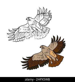 Illustration d'un livre de coloriage en couleur et en noir et blanc. Dessin d'un aigle sur un fond blanc isolé. Illustration de haute qualité Banque D'Images