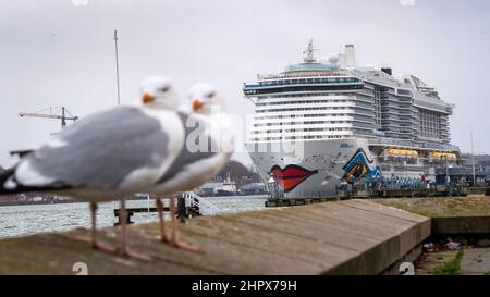 Kiel, Allemagne. 22nd févr. 2022. Le bateau de croisière 'Aidacosma' est dans le port. Le navire est le deuxième de la flotte d'Aida à être alimenté par le gaz naturel liquéfié (GNL). Credit: Sina Schuldt/dpa/Alay Live News Banque D'Images