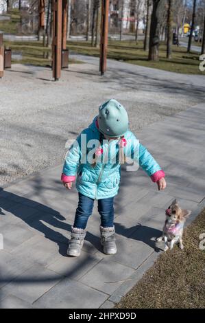 Un enfant joue dans le parc avec un petit chien. Une fille et un chien Chihuahua. Un enfant de cinq ans avec de longs cheveux tressés en picots. Fille tenant un animal de compagnie Banque D'Images