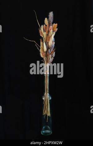 Bouquet de fleurs séchées dans un petit vase en verre, vie, image clé basse Banque D'Images
