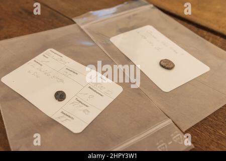 Breisach, Allemagne. 23rd févr. 2022. Deux quinoars se trouvent sur une table. Les quinars étaient un moyen de paiement de la culture latene. Comme des traces de colonies romaines ont été découvertes à plusieurs reprises sur ce site en 1950s et 60s, des fouilles archéologiques de sauvetage ont été nécessaires pour documenter le patrimoine culturel. Les trouvailles prouvent une activité de peuplement animée dans la région, dont les traces remontent à la période néolithique. Credit: Philipp von Ditfurth/dpa/Alay Live News Banque D'Images