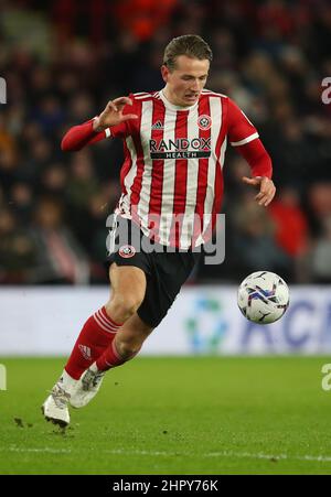 Sheffield, Angleterre, le 23rd février 2022. Sander Berge de Sheffield Utd lors du match de championnat Sky Bet à Bramall Lane, Sheffield. Le crédit photo devrait se lire: Simon Bellis / Sportimage Banque D'Images