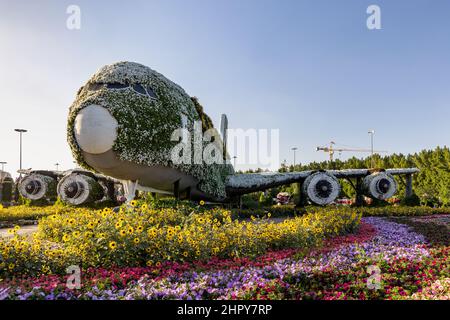 Un Airbus A380 à fleurs au Dubai Miracle Garden, Émirats arabes Unis. Banque D'Images