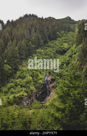 Plan vertical d'une petite cascade qui ressort de la haute montagne pleine de verdure Banque D'Images