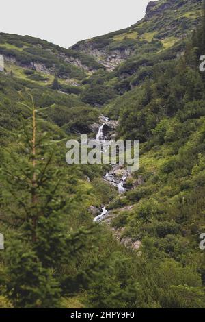 Plan vertical d'une petite cascade qui ressort de la haute montagne pleine de verdure Banque D'Images
