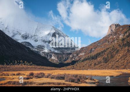 Vue panoramique sur la prairie de Yading Chongqing à Daocheng, Ganzi, Sichuan, Chine Banque D'Images