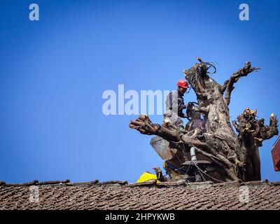 Katmandou, Bagmati, Népal. 24th févr. 2022. Le 24 février 2022, des gens ont coupé les branches d'un arbre peepal près de la place Hanumanchoka Durbar à Katmandou, au Népal. (Image de crédit : © Sunil Sharma/ZUMA Press Wire) Banque D'Images