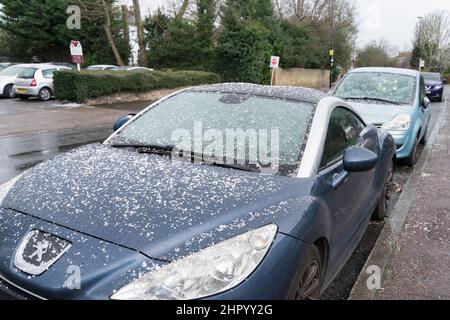 Londres Royaume-Uni 24 février 2022 . Météo au Royaume-Uni. Pluie soudaine, tempête de grêle, grésil, neige et soleil battant au village de Blackheath Sud est de Londres Angleterre Royaume-Uni. Credit: Xiu Bao/Alamy Live News Banque D'Images