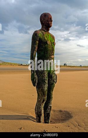 Un autre endroit. Plage de Crosby. Banque D'Images