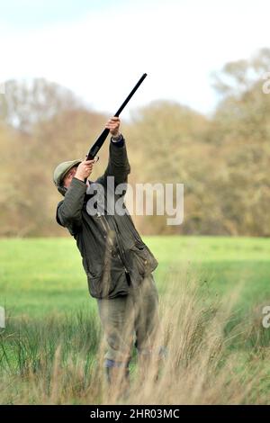 homme prenant des faisans avec un fusil de chasse Banque D'Images