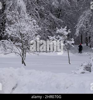 Helsinki / Finlande - 24 FÉVRIER 2022 : routes et parcs enneigés à Helsinki, capitale de la Finlande. Banque D'Images