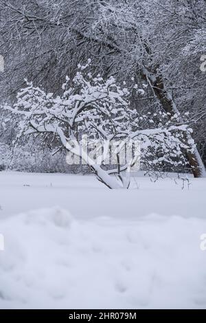 Helsinki / Finlande - 24 FÉVRIER 2022 : routes et parcs enneigés à Helsinki, capitale de la Finlande. Banque D'Images