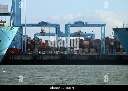 Rotterdam, pays-Bas. 23rd févr. 2022. Les conteneurs sont transportés par grues dans le port de Rotterdam. Credit: Federico Gambarini/dpa/Alay Live News Banque D'Images