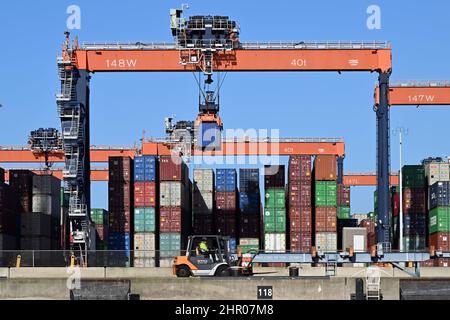 Rotterdam, pays-Bas. 23rd févr. 2022. Les conteneurs sont transportés par grues dans le port de Rotterdam. Credit: Federico Gambarini/dpa/Alay Live News Banque D'Images