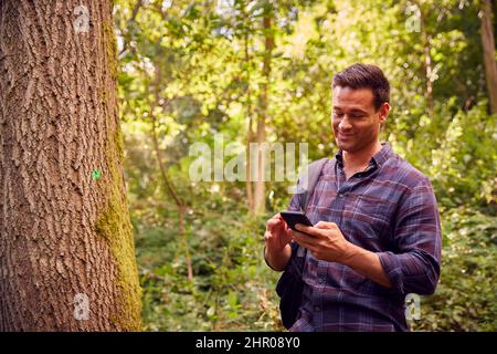 Homme dans la campagne randonnée le long du chemin à travers la forêt en utilisant l'application de carte sur le téléphone mobile pour naviguer Banque D'Images