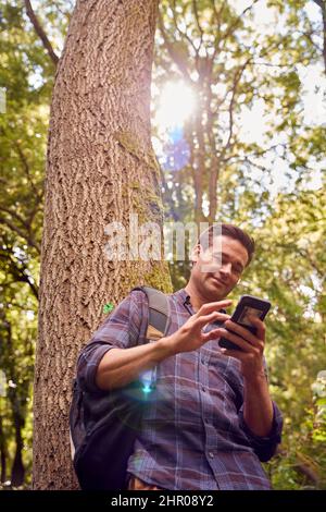 Homme dans la campagne randonnée le long du chemin à travers la forêt en utilisant l'application de carte sur le téléphone mobile pour naviguer Banque D'Images