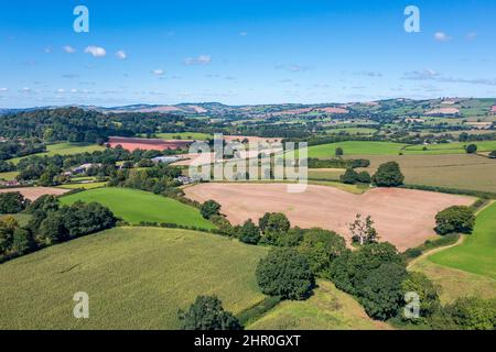 Printemps à Devon près d'Exeter, Angleterre, Royaume-Uni, Europe Banque D'Images