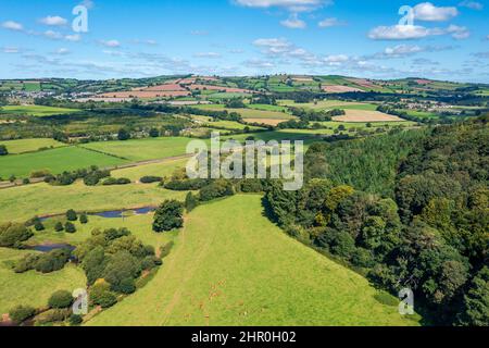 Printemps à Devon près d'Exeter, Angleterre, Royaume-Uni, Europe Banque D'Images