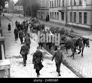 Allemagne Seconde Guerre mondiale 1945. Soldats de l'armée allemande la plupart d'entre eux très jeunes souriant comme ils retournent à la maison défait avec un drapeau blanc de la reddition sur leur cheval et chariot. Des drapeaux blancs peuvent également être vus drapés de certains des buidlings. Banque D'Images