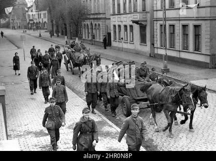 Allemagne Seconde Guerre mondiale 1945. Soldats de l'armée allemande la plupart d'entre eux très jeunes souriant comme ils retournent à la maison défait avec un drapeau blanc de la reddition sur leur cheval et chariot. Des drapeaux blancs peuvent également être vus drapés de certains des buidlings. Banque D'Images