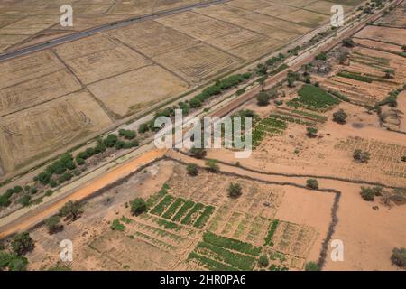 Les canaux d'irrigation longent les rizières et les fermes maraîchères et les champs dans le delta de la vallée du fleuve Sénégal, dans le nord du Sénégal, en Afrique de l'Ouest. Banque D'Images