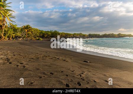 Palmiers verts sur sable noir sur la plage de Honomolino, île d'Hawaï, Hawaï, États-Unis Banque D'Images