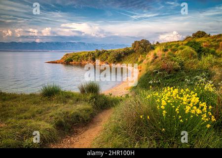 Paysage de mer avec des montagnes sur fond au coucher du soleil, île de Vir en Croatie, Europe. Banque D'Images