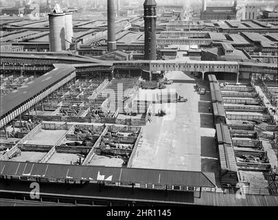 Union stock yards, Chicago, Illinois, États-Unis, John Vachon, U.S. Office of War information/États-Unis Administration de la sécurité agricole, juillet 1941 Banque D'Images