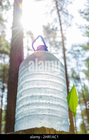 une grande bouteille d'eau potable fraîche et propre se trouve dans la forêt à côté des pousses de lis de la vallée des fleurs, des gouttes de condensats s'écoulent fr Banque D'Images