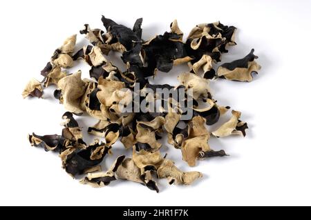 Oreille de gelée, champignon d'oreille de nuages, champignon noir, champignon chinois noir, champignon d'oreille de bois, Le champignon de l'oreille (Auricularia polytricha, Hirneola polytricha), séché Banque D'Images