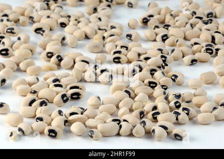 Pois à yeux noirs, pois de vache (Vigna unguiculata), graines Banque D'Images