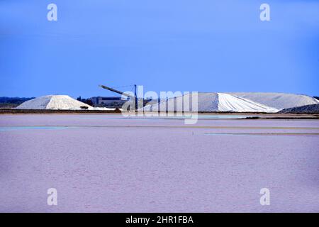 Petite Camargue, production de sel de mer près d'Aigues mortes , France, Aigues mortes Banque D'Images