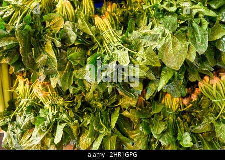 Épinards verts frais à vendre sur le marché aux légumes, gros plan. Boîtes remplies d'épinards en magasin. Épinards au stand de l'épicier. Usine bêta. Légumes. Banque D'Images