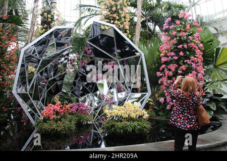 New York, États-Unis. 23rd févr. 2022. Les visiteurs peuvent visiter l'exposition d'orchidées « Jeff Leatham's Kaléidoscope » du jardin botanique. L'exposition est en vue jusqu'au 1 mai dans la serre tropicale de l'installation du Bronx, qui est trop verte et chaude. (À dpa 'Wow Effect': 'Flower designer to the starss' shows Orchids in New York') Credit: Christina Horsten/dpa/Alay Live News Banque D'Images