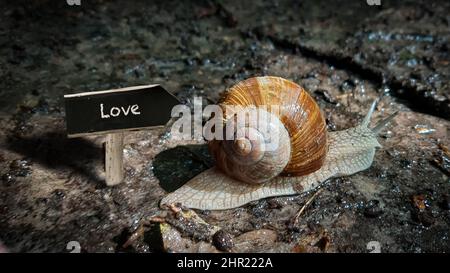 Plaque de Rue le sens moyen de l'amour Banque D'Images