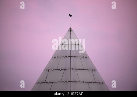 Hanovre, Allemagne. 25th févr. 2022. Un oiseau se trouve au sommet de la pyramide de l'ancien pavillon danois de l'exposition universelle 2000 en début de matinée. Credit: Julian Stratenschulte/dpa/Alay Live News Banque D'Images