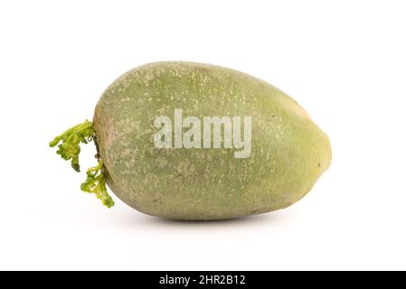 Radis vert nom latin R phanus sur fond blanc. Concept d'alimentation saine. Banque D'Images