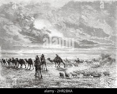 Troupeaux d'animaux dans le désert de Gobi, Mongolie. Asie. Voyage en Mongolie par Nikolai Mijailovich Przewalski en 1870-1873, le Tour du monde 1877 Banque D'Images