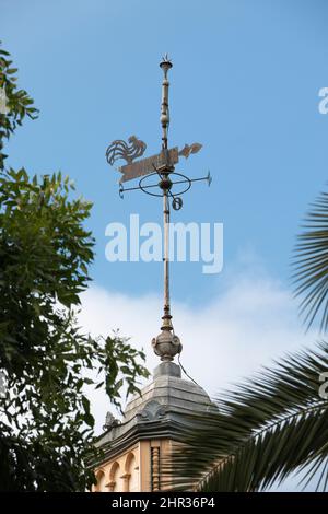 Coq-girouette sur l'église derrière les feuilles de palmier. Météo de coq d'argent devant le ciel. Un Weathercock est une marque terrestre de l'île. Banque D'Images